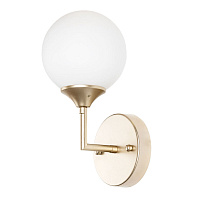 Бра Arte Lamp Marco E14 60 Вт 220 В золото IP20 (A2703AP-1SG)