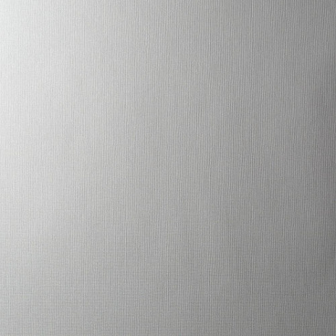 Обои компакт-винил на флизелиновой основе Erismann Martinique 12193-10 (1,06х10,05 м)