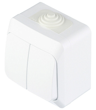 Выключатель Systeme Electric Этюд двухклавишный накладной белый (BA10-042B)