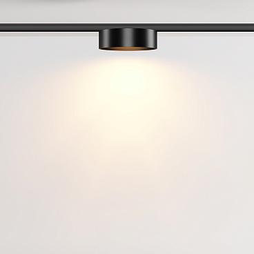 Трековый светильник Technical TR189-1-12W2.7K-B