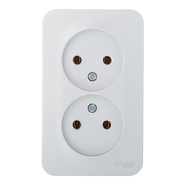 Розетка Systeme Electric Blanca накладная алюминий (BLNRA000213)