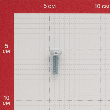 Винт оцинкованный M6x20 мм DIN 7985 полукруглая головка (10 шт.)