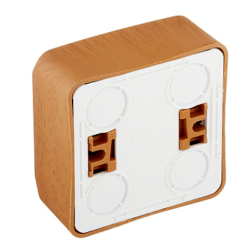 Розетка Systeme Electric Этюд накладная бук (PA16-001T)