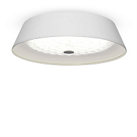 Потолочный светильник Freya FR10013CL-L24W