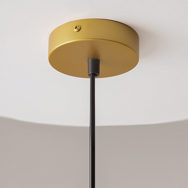 Подвесной светильник Maytoni P362PL-01G