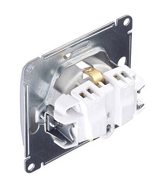 Розетка Systeme Electric Glossa встраиваемая алюминий со шторками (GSL000345)