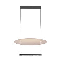 Подвесной светильник Maytoni MOD280PL-L30B3K1