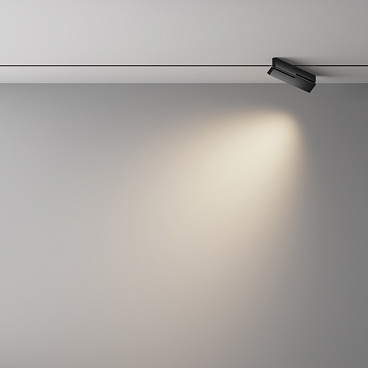 Трековый светильник Technical TR242-2-12W4K-B