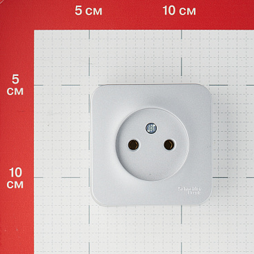 Розетка Systeme Electric Blanca накладная алюминий (BLNRA000113)