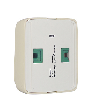 Переключатель Hegel Alfa одноклавишный накладной слоновая кость с подсветкой (ВА10-164-01)