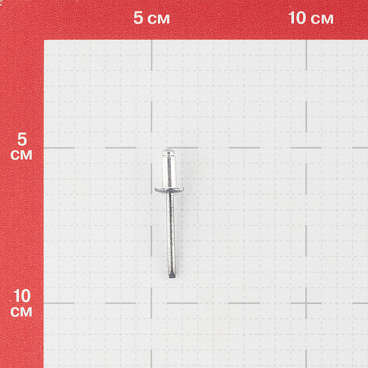 Заклепка вытяжная 4,8x10 мм алюминий/сталь серая RAL 7024 (100 шт.)