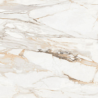 Статуарио Порш Керамогранит 60х60 матовый