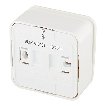 Выключатель Systeme Electric Blanca одноклавишный накладной молочный с самовозвратом (BLNCA101012)