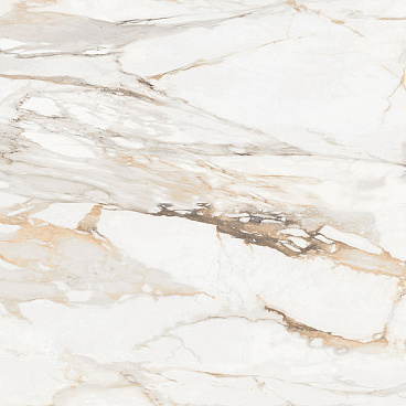 Статуарио Порш Керамогранит 60х60 матовый