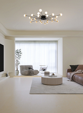 Потолочный светильник Freya FR5242CL-24B