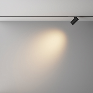 Трековый светильник Technical TR243-4-12WTW-DD2-B