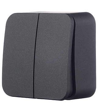 Выключатель Systeme Electric Blanca двухклавишный накладной антрацит (BLNVA105016)