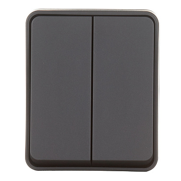 Выключатель Systeme Electric AtlasDesign Profi54 двухклавишный накладной антрацит (ATN544051)