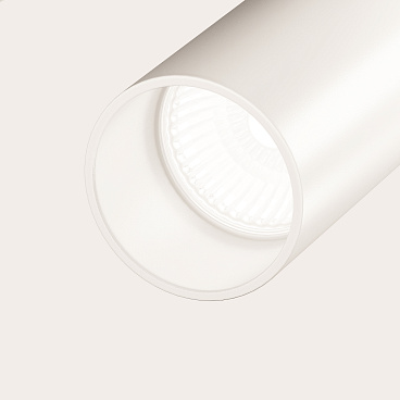 Потолочный светильник Technical C021CL-02W