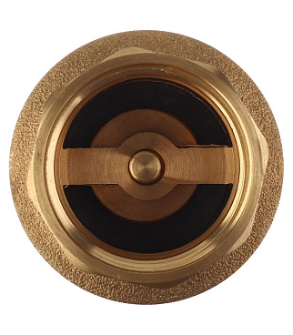 Клапан обратный 1 ВР(г) х 1 ВР(г) (FVC1)