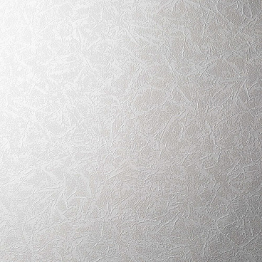 Обои вспененный винил на флизелиновой основе Renowa Respect 38104-06 (1,06х10,05 м)