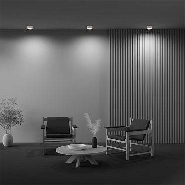 Потолочный светильник Technical C032CL-12W4K-RD-W