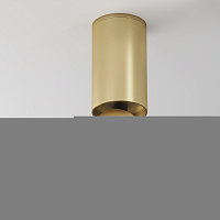 Потолочный светильник Technical C051CL-01G