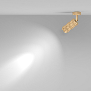 Потолочный светильник Technical C034CL-01G
