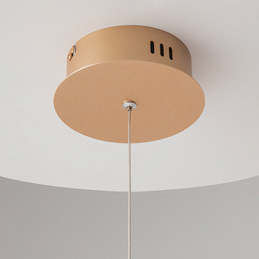 Подвесной светильник Maytoni MOD017PL-L13G