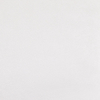 Обои компакт-винил на флизелиновой основе Elysium Виола фон Е203900 (1,06х10,05 м)