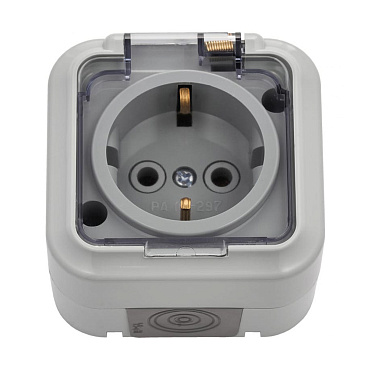 Розетка Svet накладная серая с крышкой (EV 0366-6619)