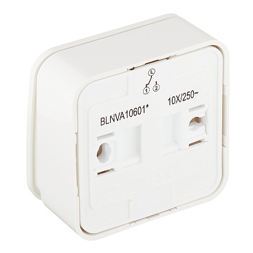 Переключатель Systeme Electric Blanca одноклавишный накладной молочный (BLNVA106012)