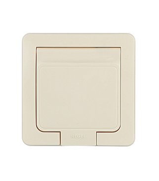 Розетка Hegel Master встраиваемая слоновая кость с крышкой (РС16-511-01)