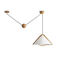 Потолочный светильник Freya FR5554CL-01T