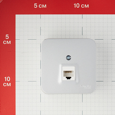 Розетка компьютерная Systeme Electric Blanca накладная алюминий RJ45 (BLNIA045003)