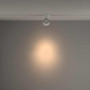 Трековый светильник Technical TR084-1-15W3K-D-W