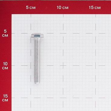 Болт оцинкованный M10x70 мм DIN 933 10,9 (2 шт.)