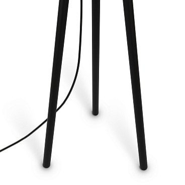 Напольный светильник (торшер) Maytoni Z177FL-01B