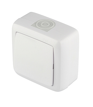 Выключатель Hegel Alfa одноклавишный накладной белый (ВА10-211)