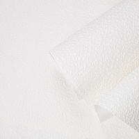 Обои под покраску вспененный винил на флизелиновой основе фактурные Palitra Home Colorize HC31254-01 (1,06х10,05 м) плотность 98 г/кв.м