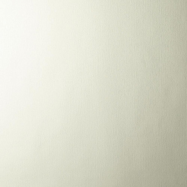 Обои компакт-винил на флизелиновой основе Elysium София фон промо Е39810 (1,06х10,05 м)