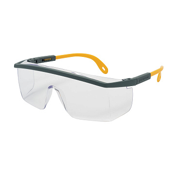 Очки защитные Delta Plus Kilimandjaro открытые с прозрачными линзами (KILIMGRIN)