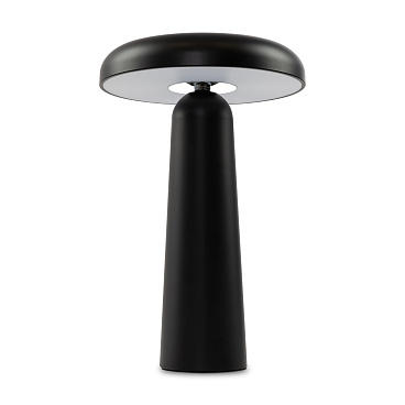 Аккумуляторный светильник Freya FR6109TL-L4B