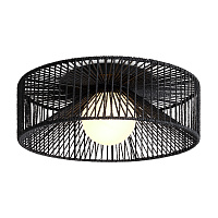 Потолочный светильник Freya FR5405CL-01B