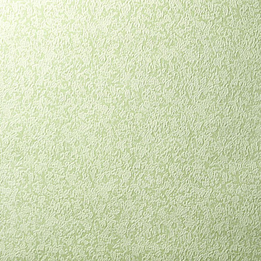 Обои бумажные Саратовские обои Рама С6-Д-495-04 (0,53х10 м)