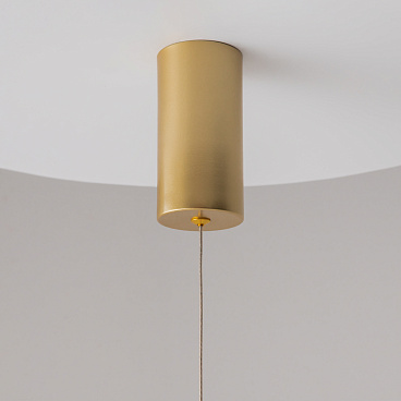 Подвесной светильник Maytoni P022PL-L10MG3K