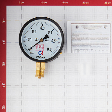 Манометр Росма радиальный 1/2 НР(ш) 6 бар d100 мм (6832)