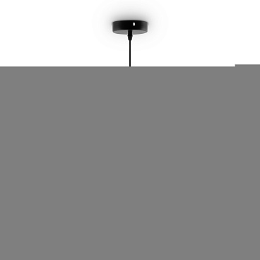 Подвесной светильник Freya FR5188PL-01B