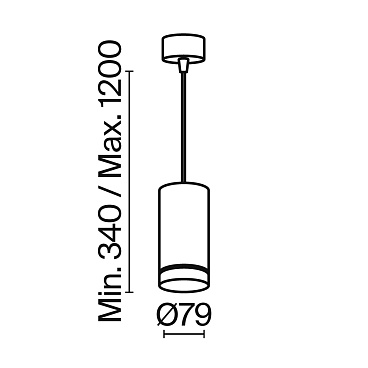 Подвесной светильник Maytoni P085PL-12W4K-B