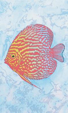 Бриз Декор красная рыба (D403bAR8) 20х33